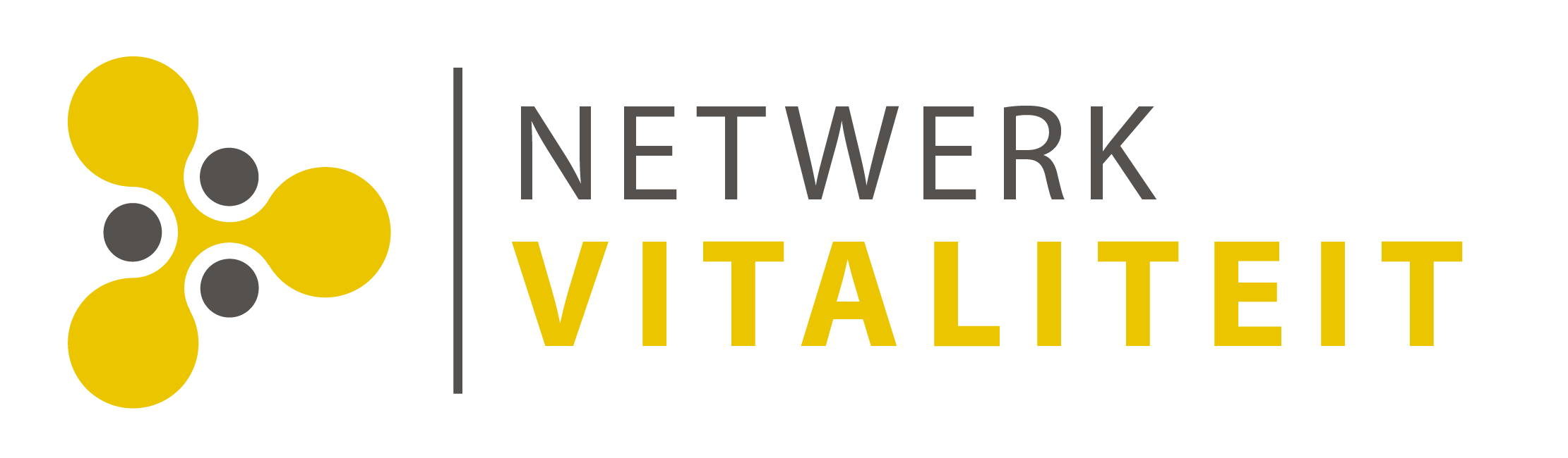 Fysio Heiloo en Netwerk Vitaliteit